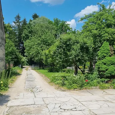 Bogomila ليوبليانا